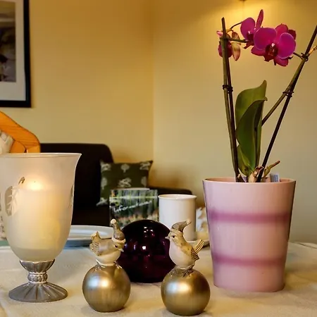 아파트 Haus-jaegerfleck-4-sterne-wohnung-almberg *